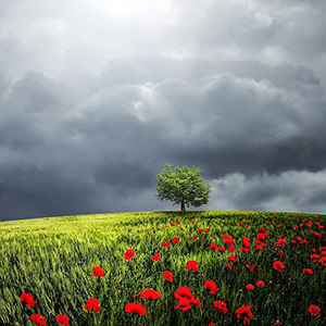 Weather, feelings